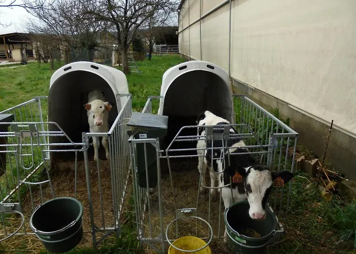 Ferienhaus Maison Spacieuse Proche Lascaux, Wifi, Terrasse - Fr-1-616-148